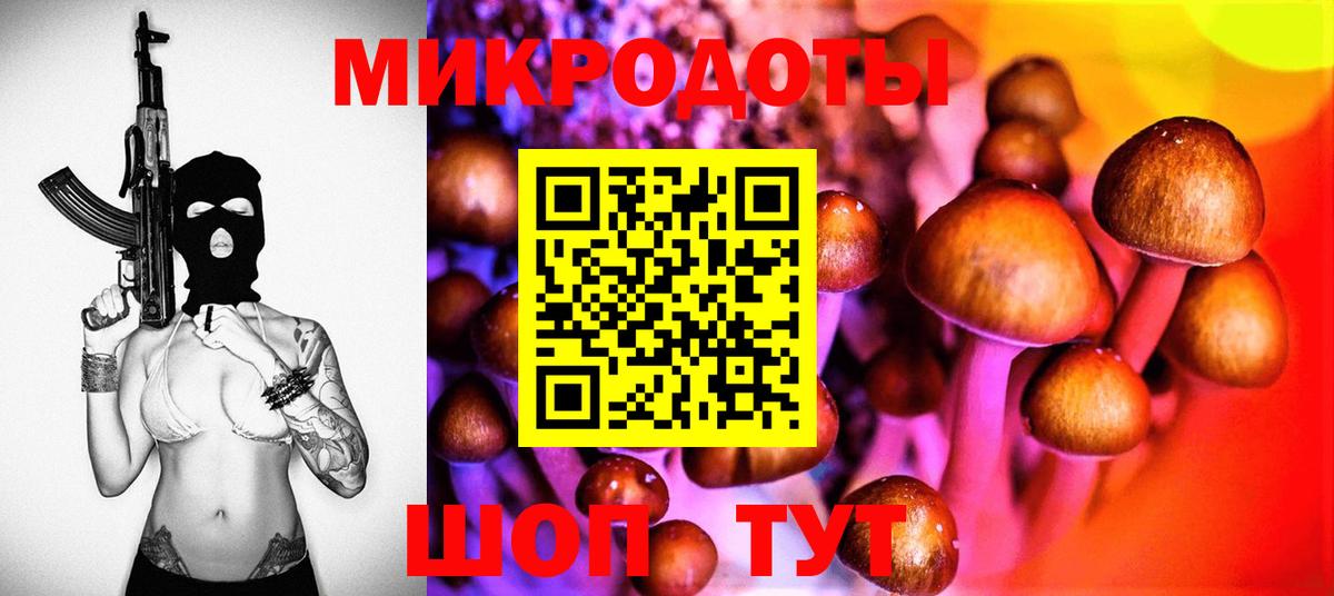 Галлюциногенные грибы прущие грибы Михайловск