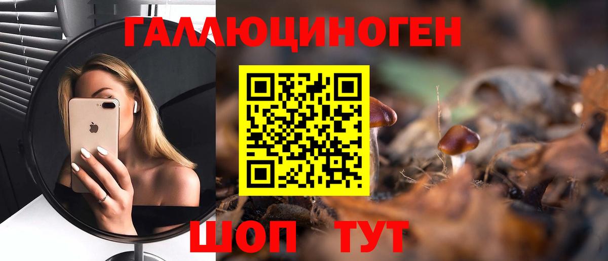 Михайловск  Псилоцибиновые грибы Psilocybe  закладки  Псилоцибиновые грибы GOLDEN TEACHER  Вход с VPN 